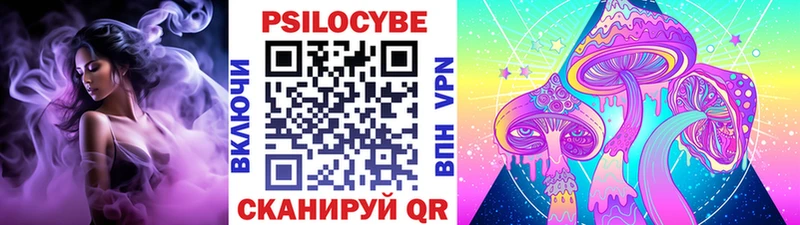 Псилоцибиновые грибы Magic Shrooms  наркошоп  Кяхта 